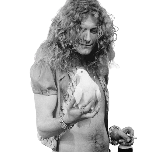 Robert Plant & Alison Krauss