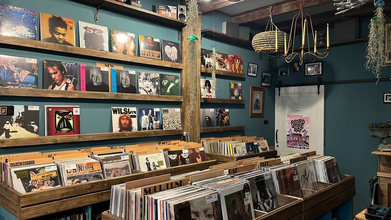 Ons assortiment vinylplaten op de schappen