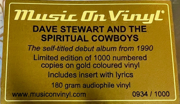 Dave Stewart And The Spiritual Cowboys