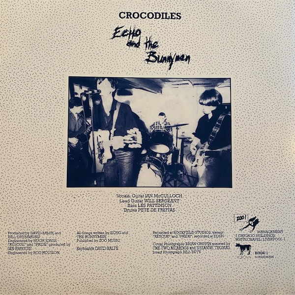 Crocodiles