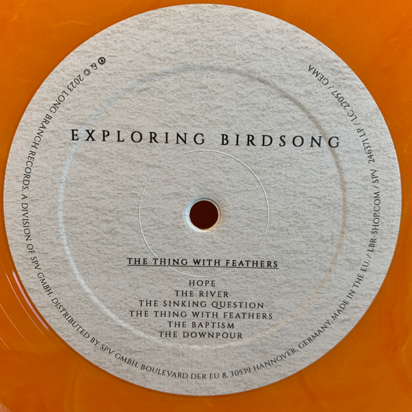 Dancing In The Face Of Danger / The Thing With Feathers