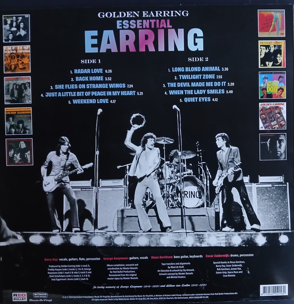Essential Earring