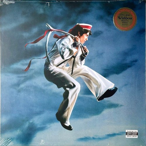 Wishbone – hoes